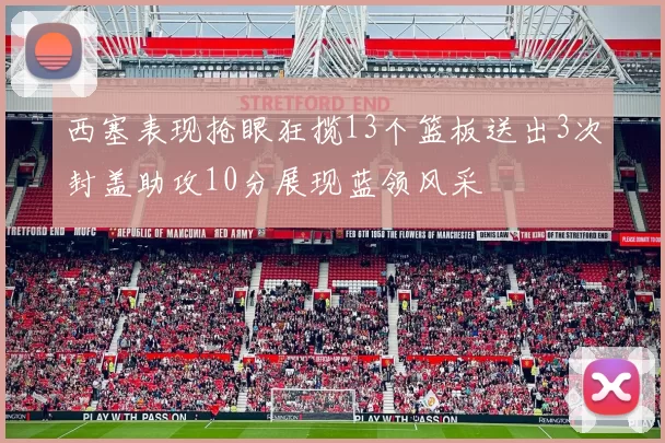 西塞表现抢眼狂揽13个篮板送出3次封盖助攻10分展现蓝领风采